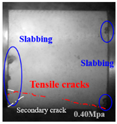 Applsci 15 09995 i043