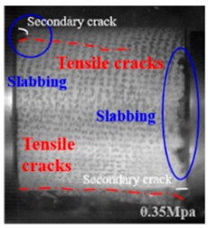 Applsci 15 09995 i049