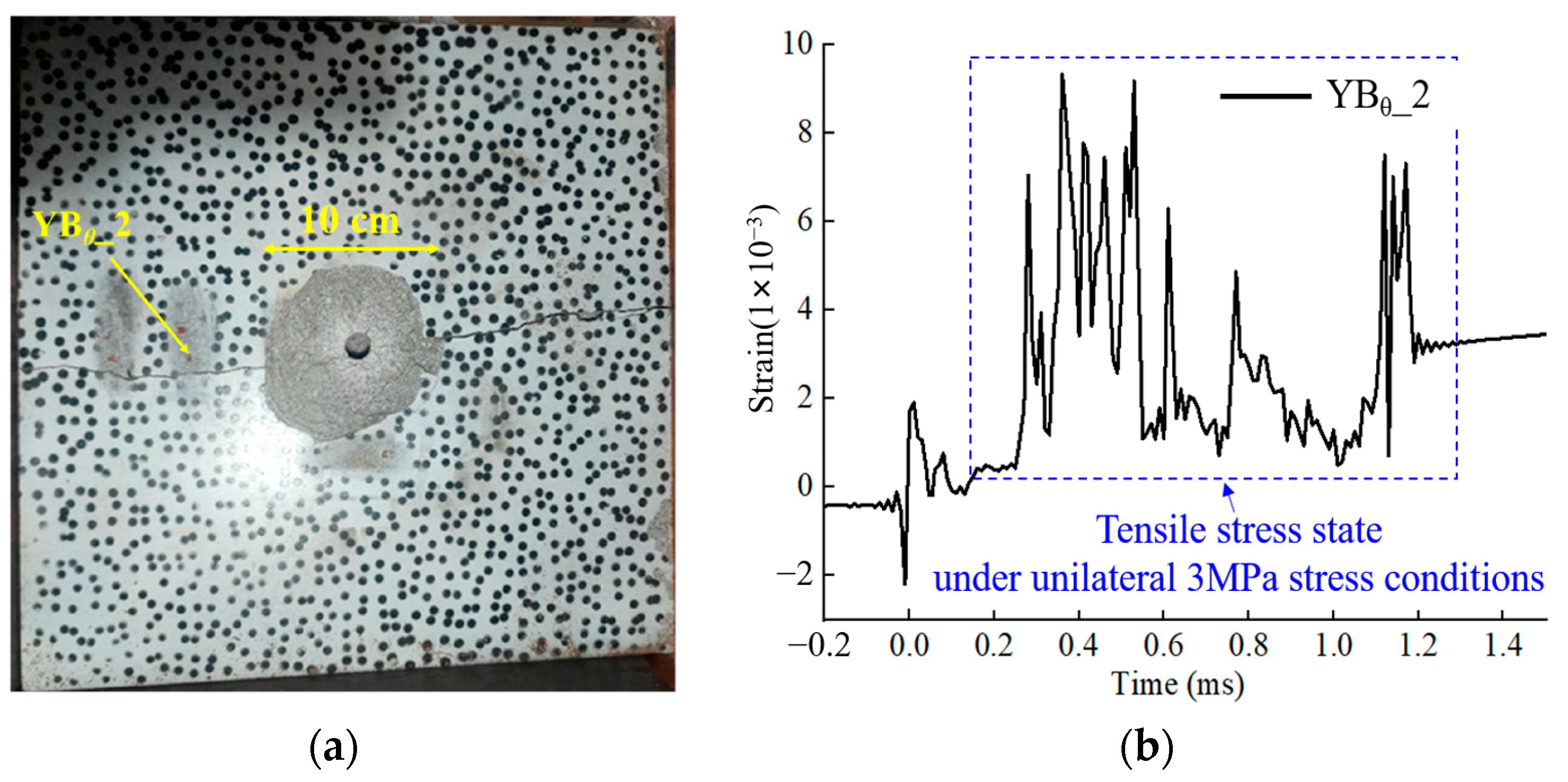 Applsci 15 10036 g017 Applsci 15 10036 g017