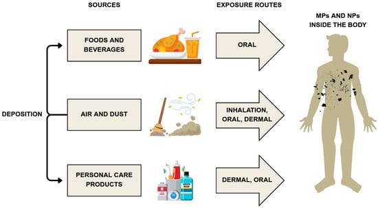 Applsci 15 10146 g002