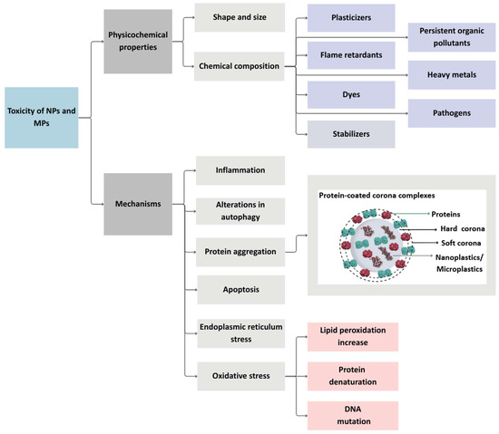 Applsci 15 10146 g003