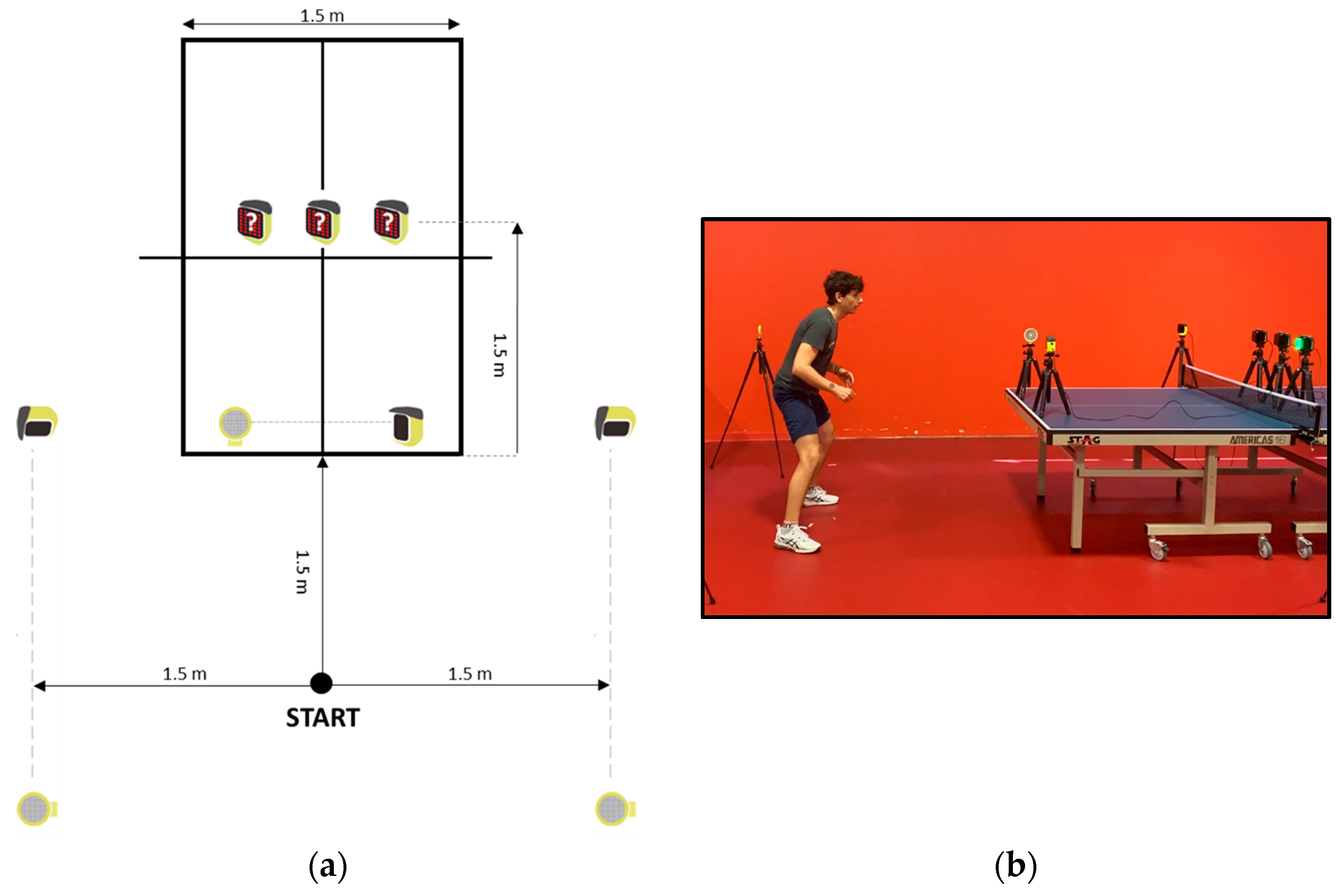 Applsci 15 10163 g001