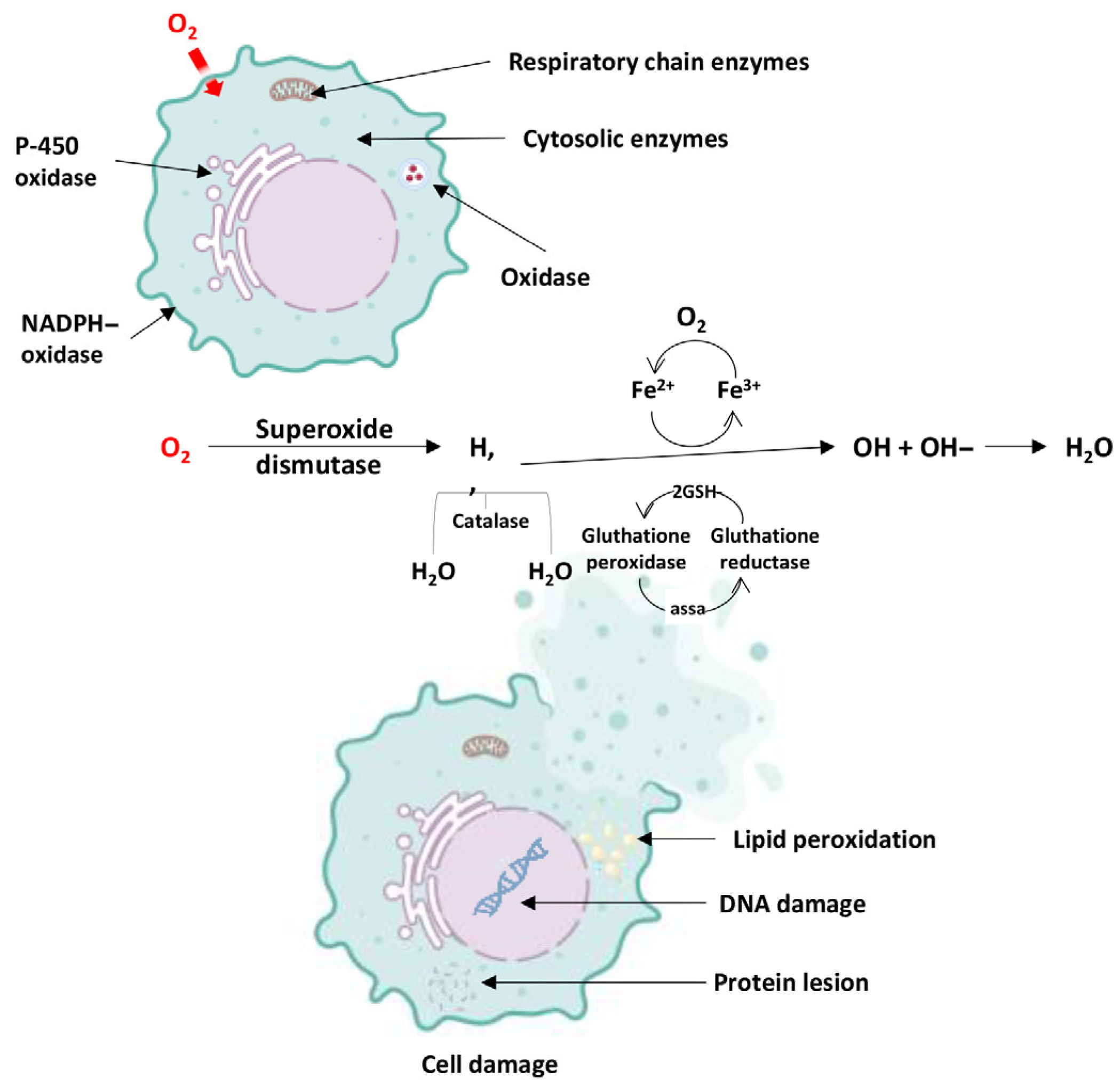 Applsci 15 10191 g001