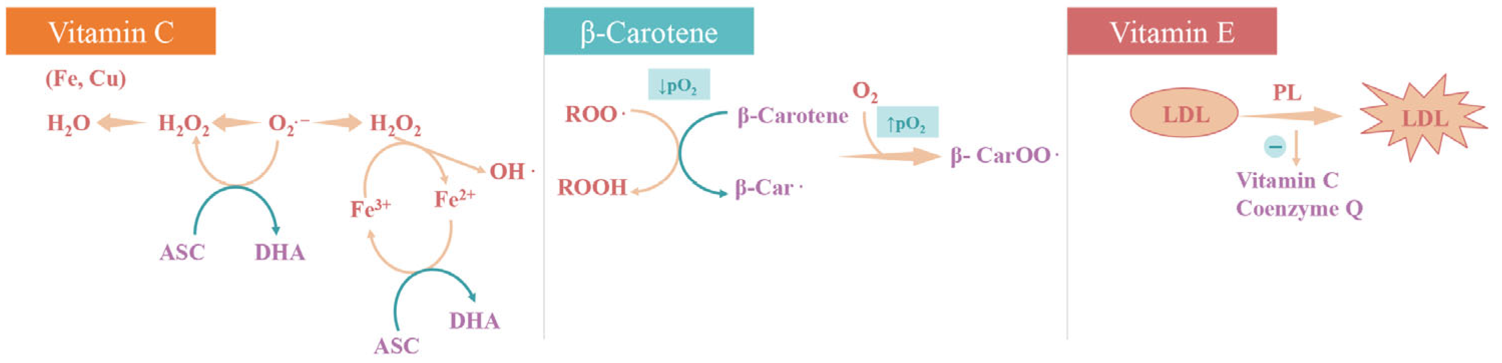 Applsci 15 10191 g002