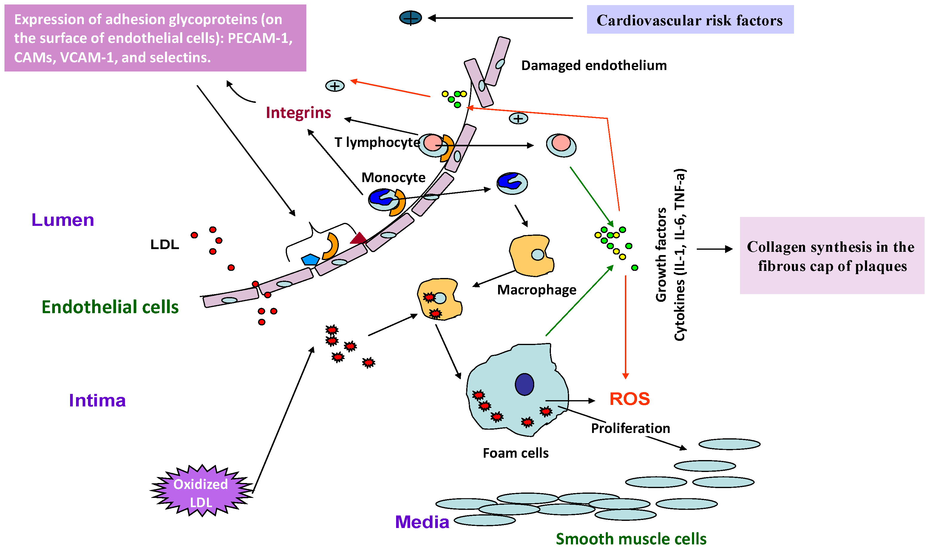 Applsci 15 10191 g003