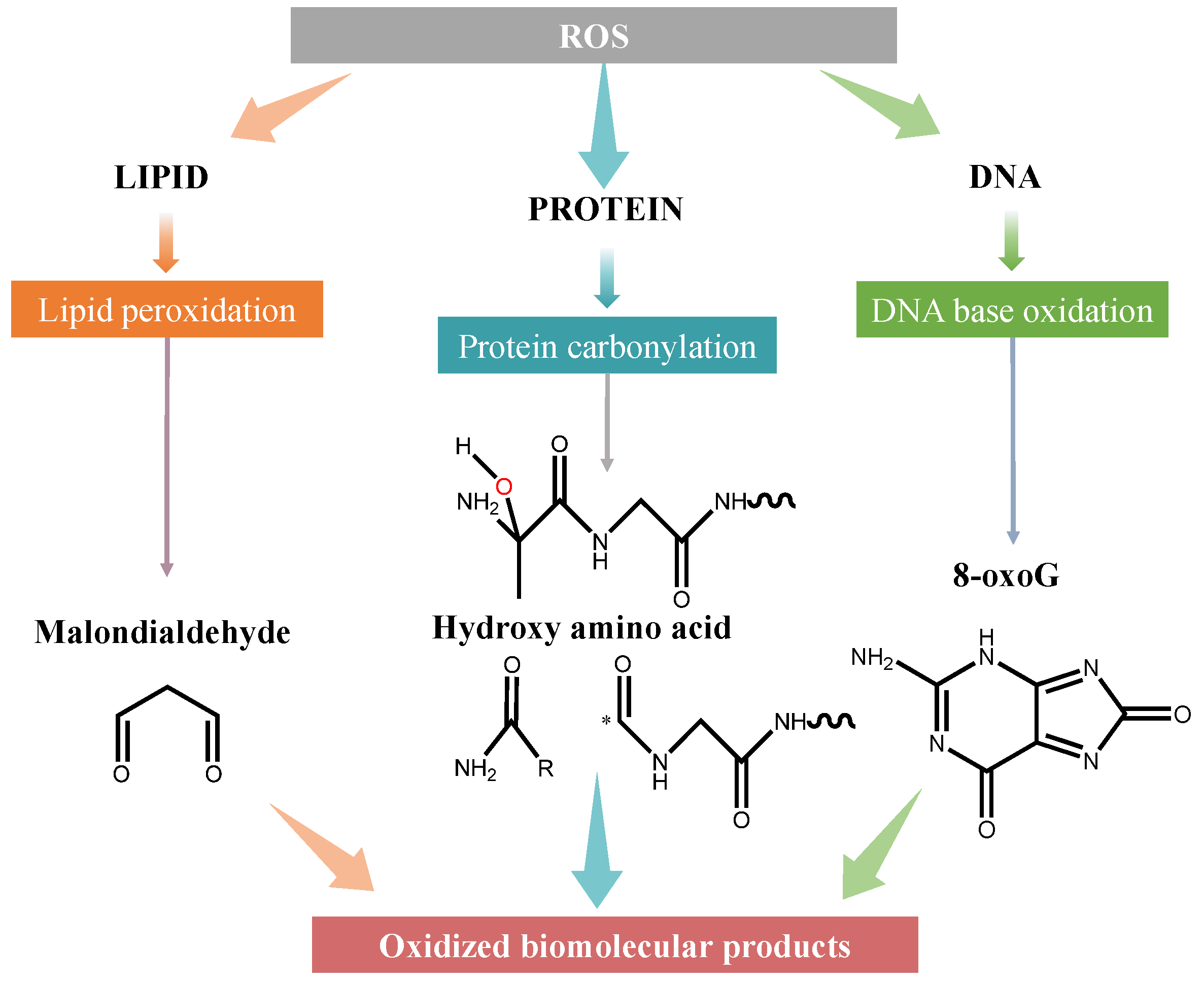 Applsci 15 10191 sch001