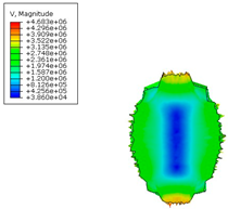 Applsci 15 10234 i008 Applsci 15 10234 i008