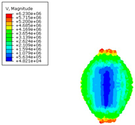 Applsci 15 10234 i009 Applsci 15 10234 i009