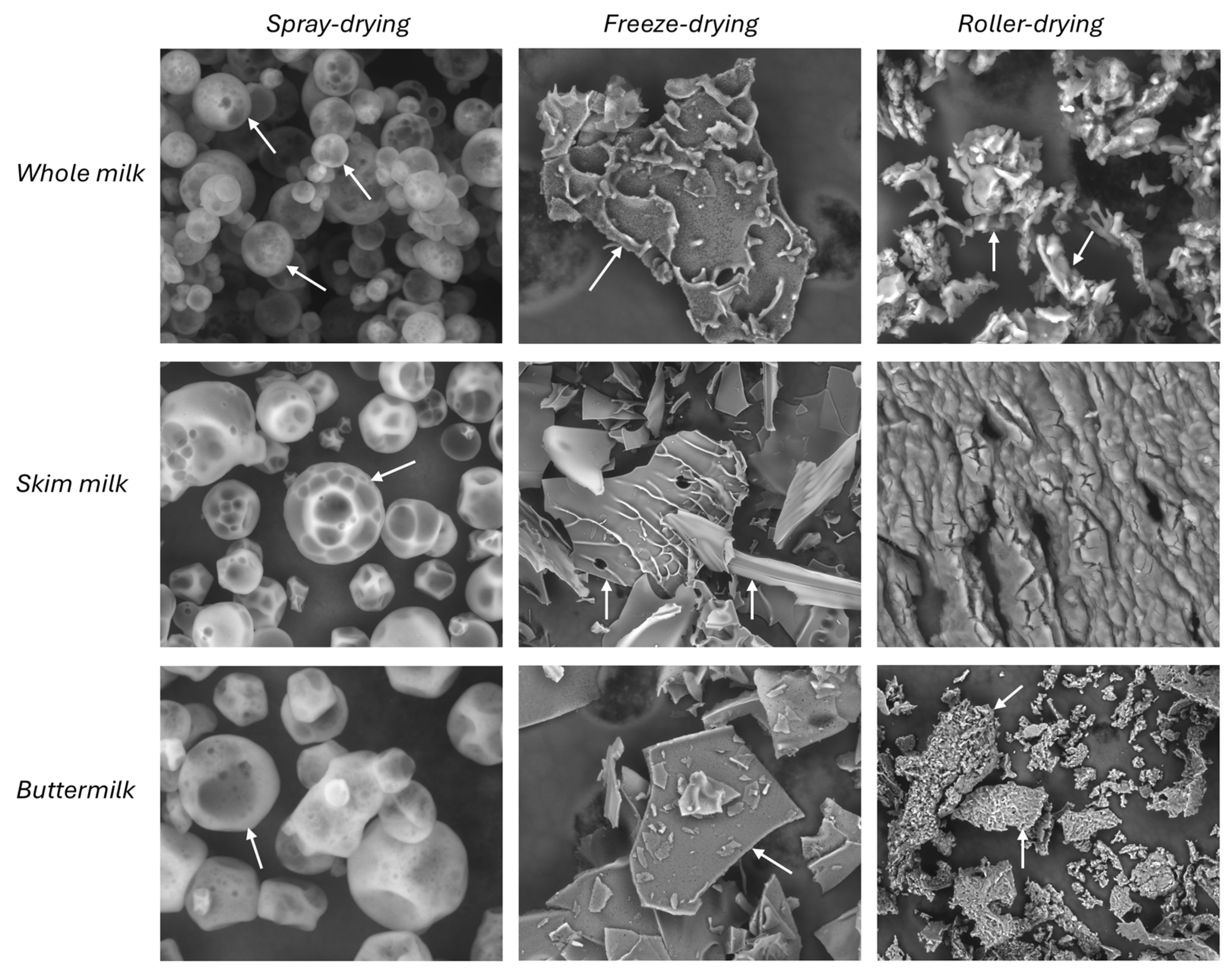 Applsci 15 10281 g001