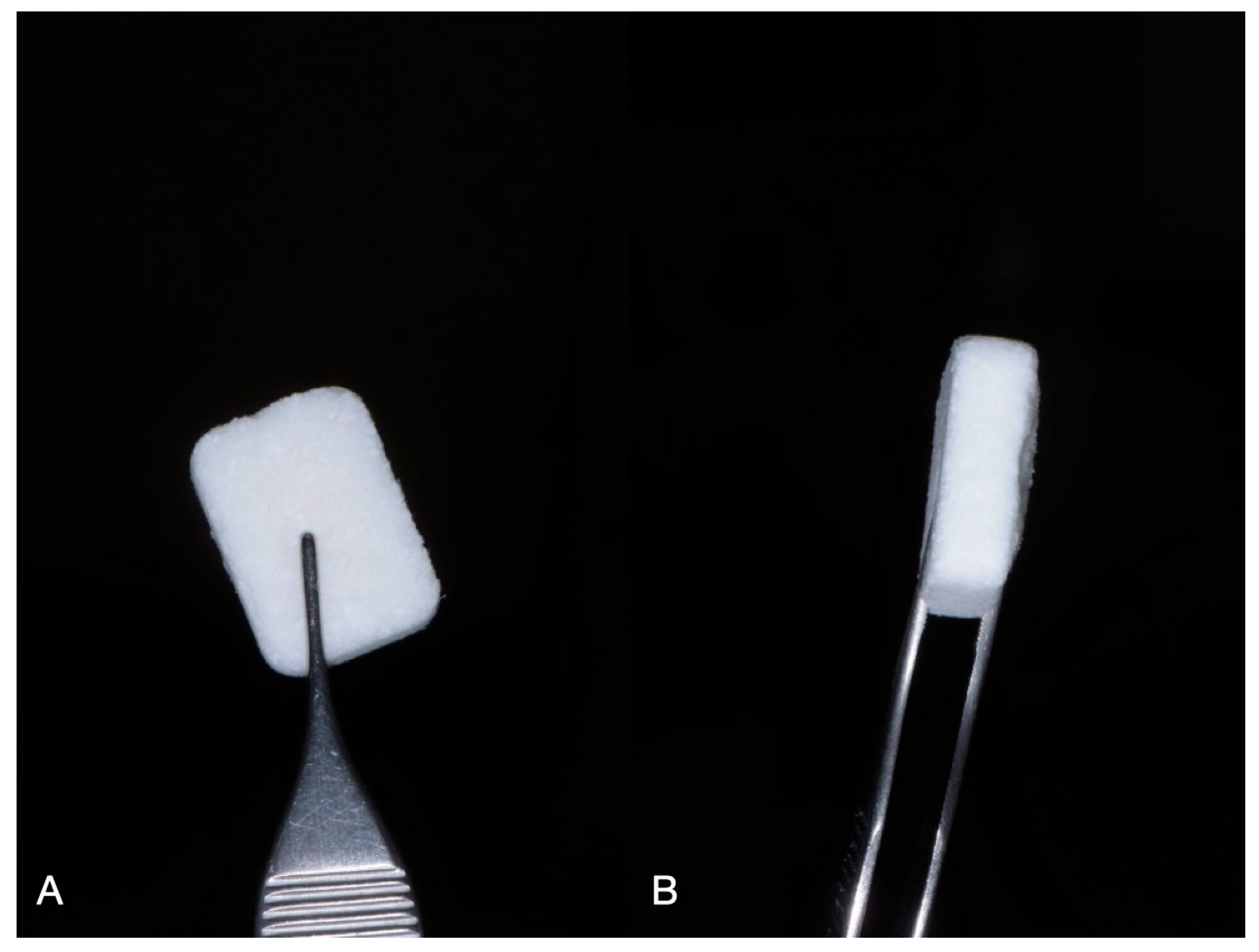 Applsci 15 10315 g001