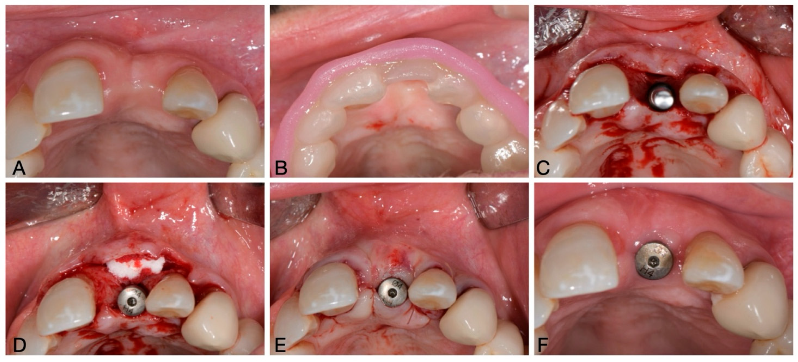 Applsci 15 10315 g002