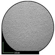 Applsci 15 10419 i003 Applsci 15 10419 i003