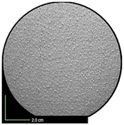 Applsci 15 10419 i011 Applsci 15 10419 i011