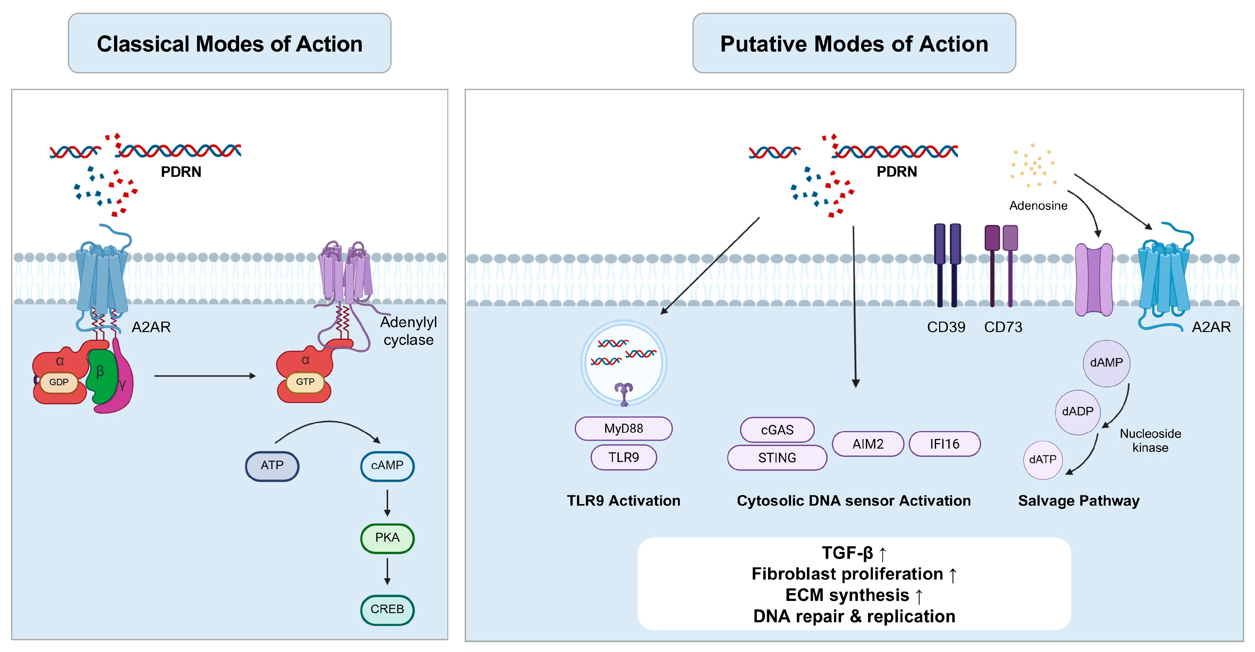 Applsci 15 10437 g001