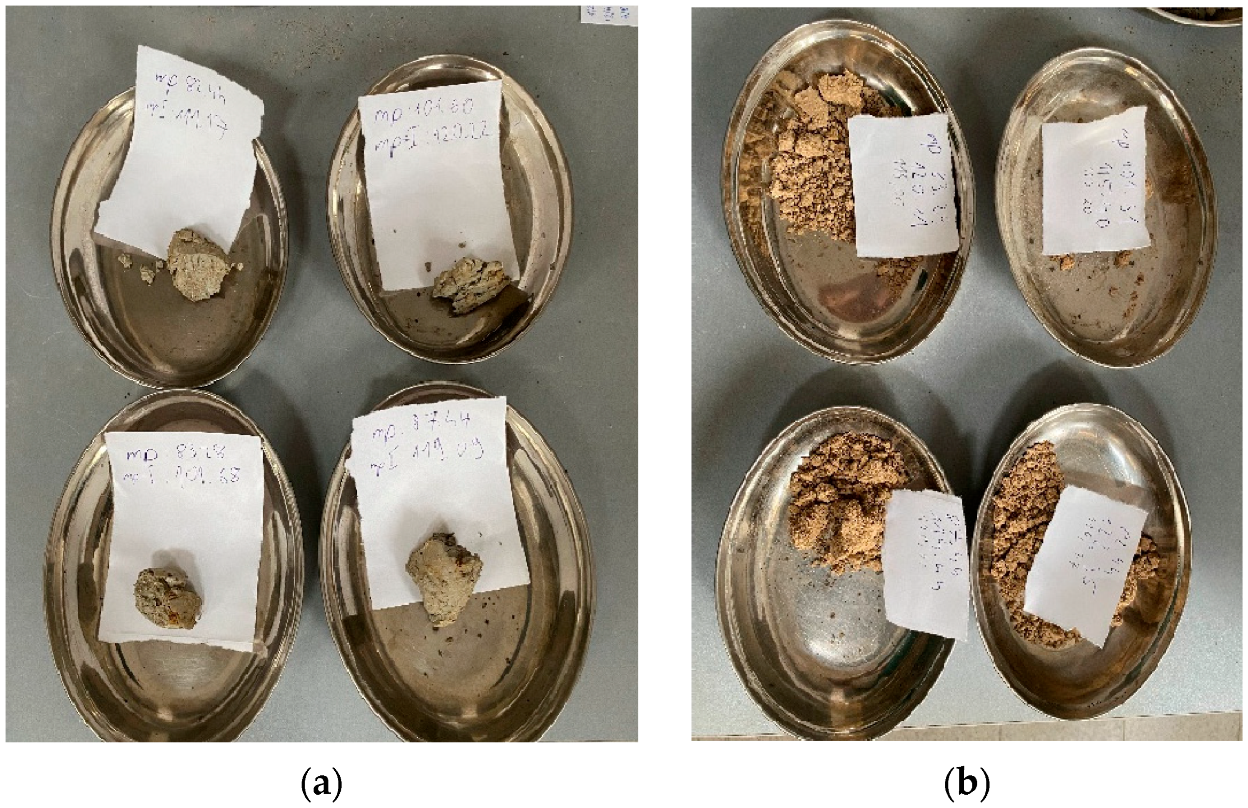 Applsci 15 10463 g002