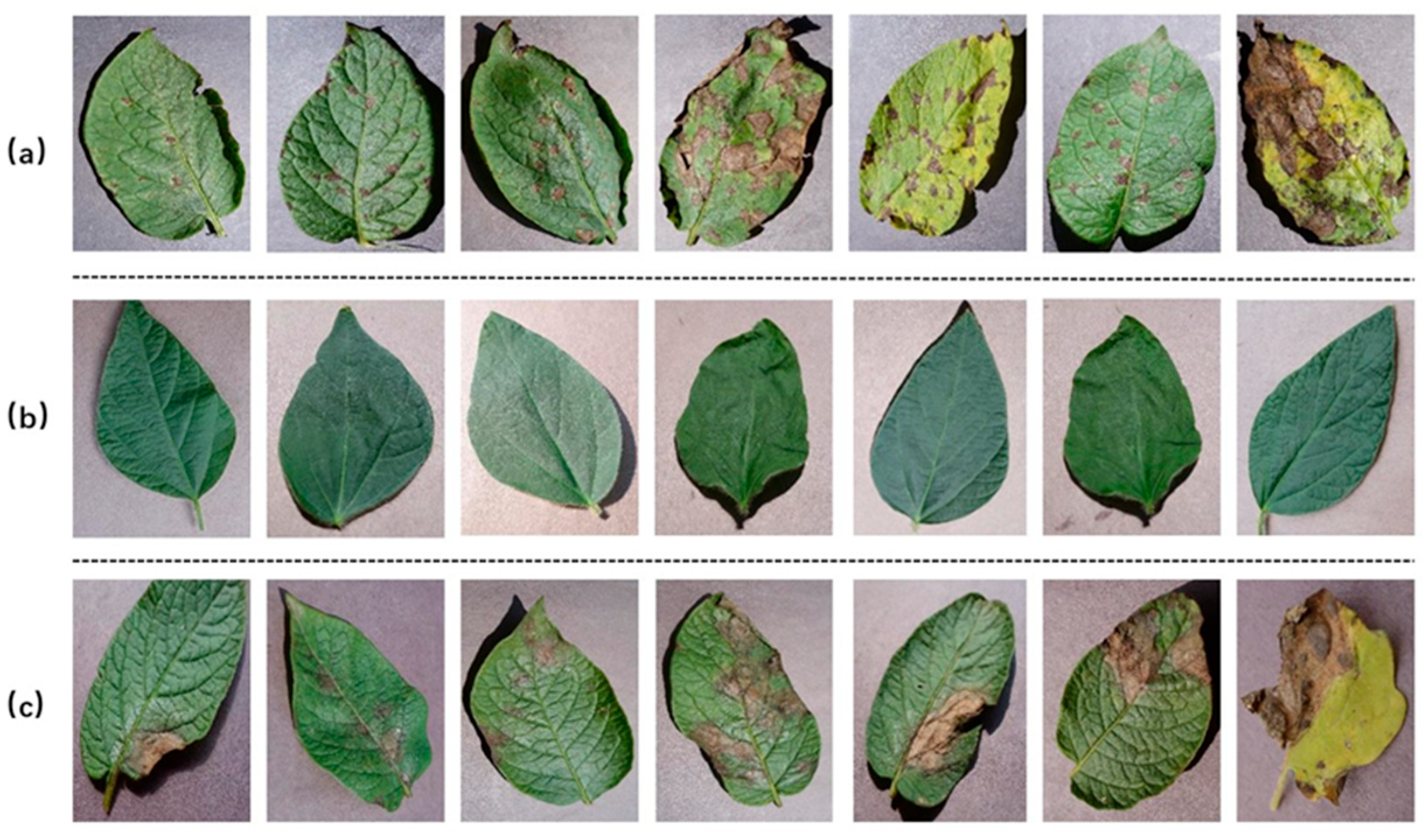 Applsci 15 10697 g001