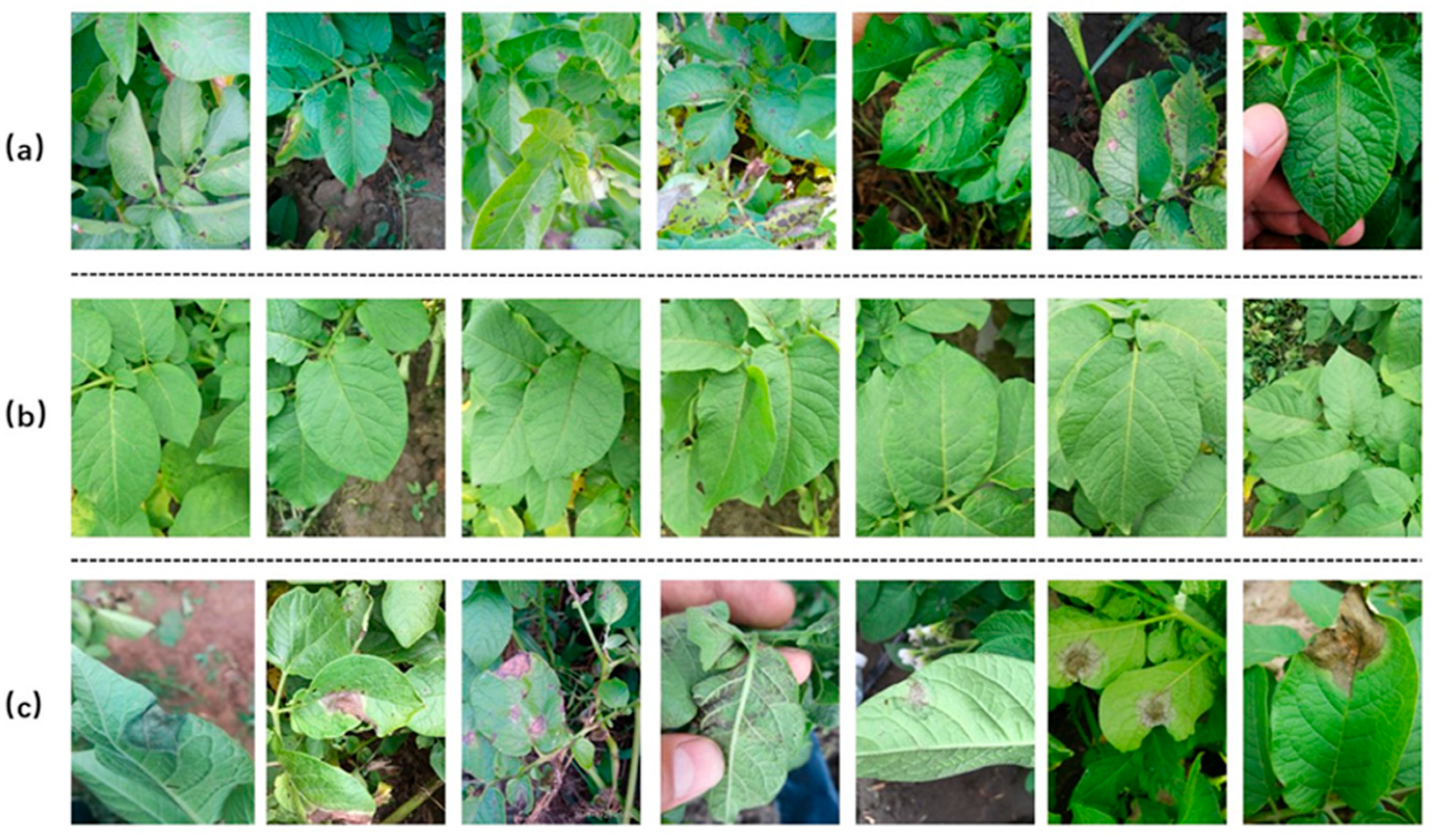 Applsci 15 10697 g002