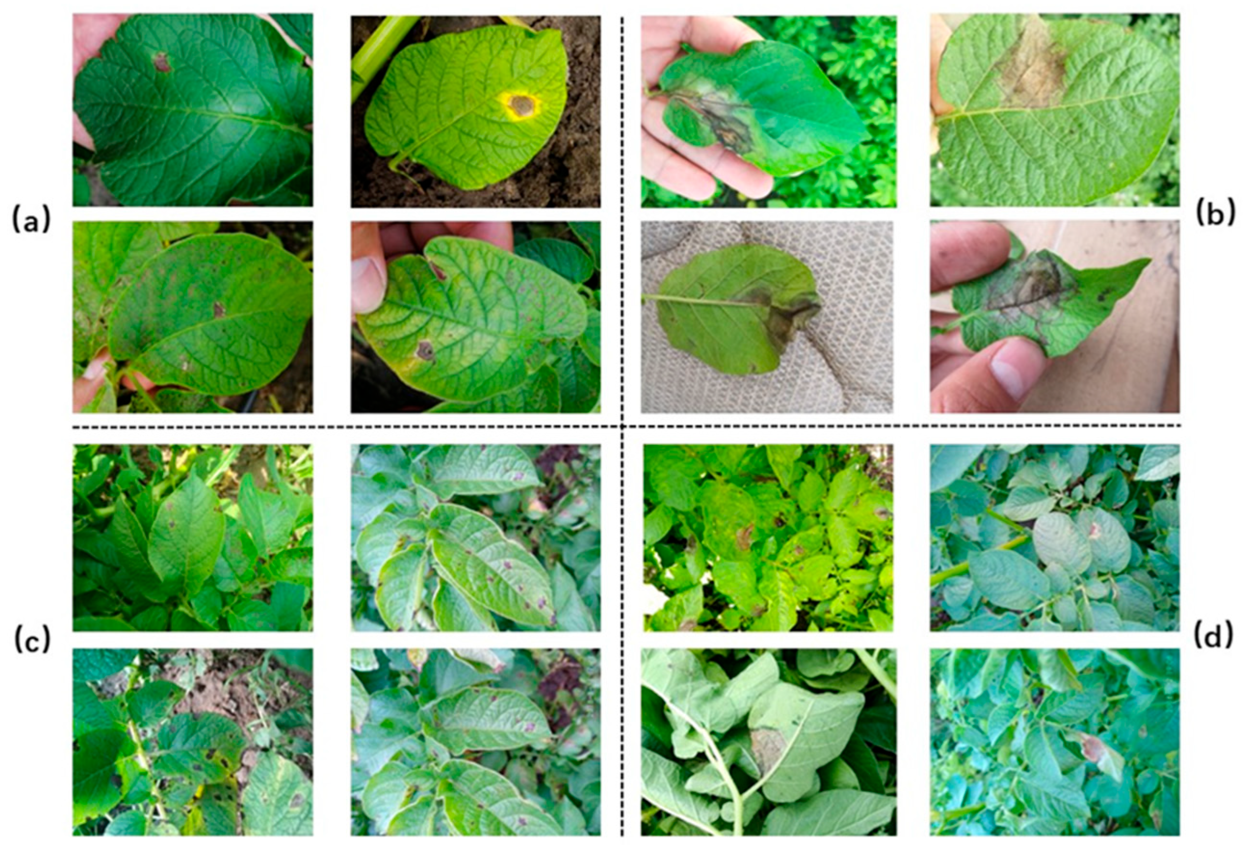 Applsci 15 10697 g003