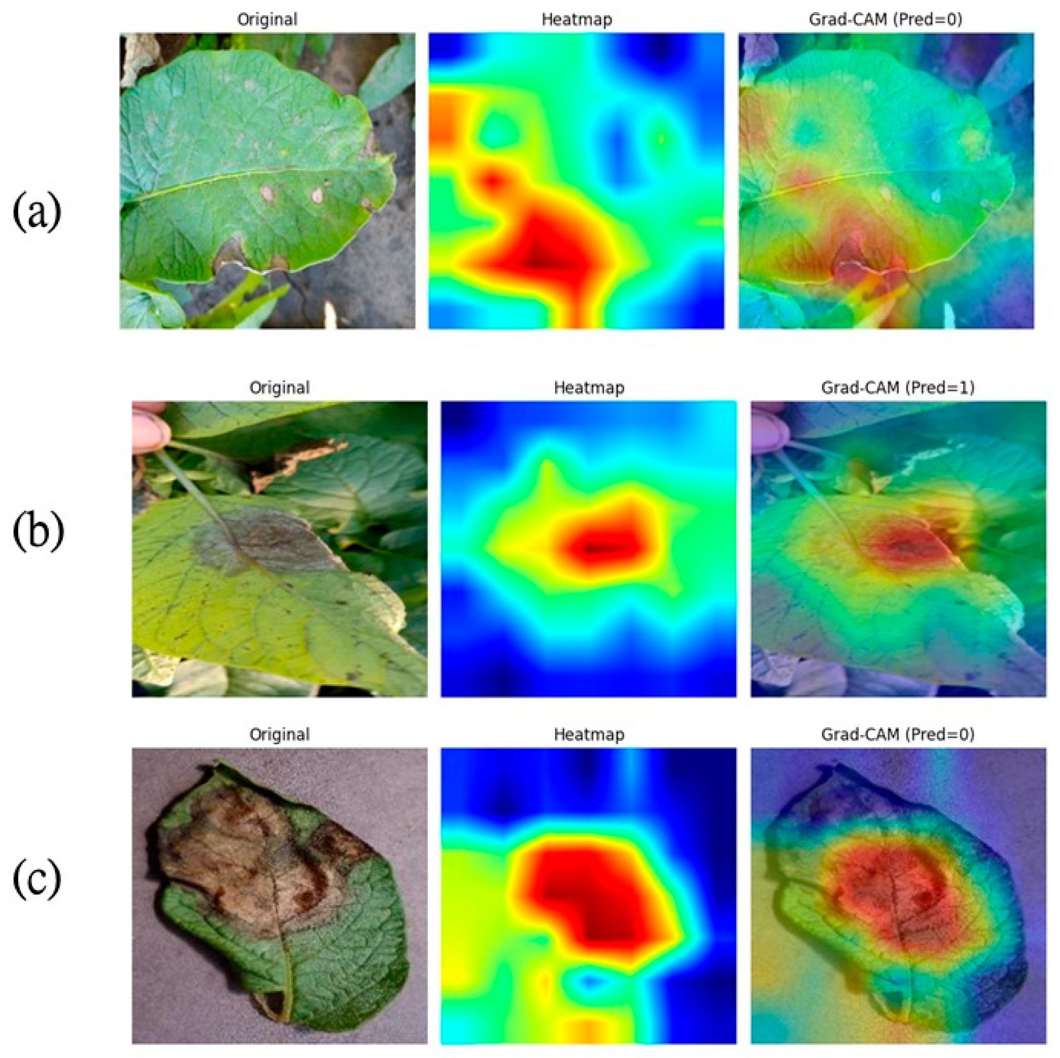 Applsci 15 10697 g012