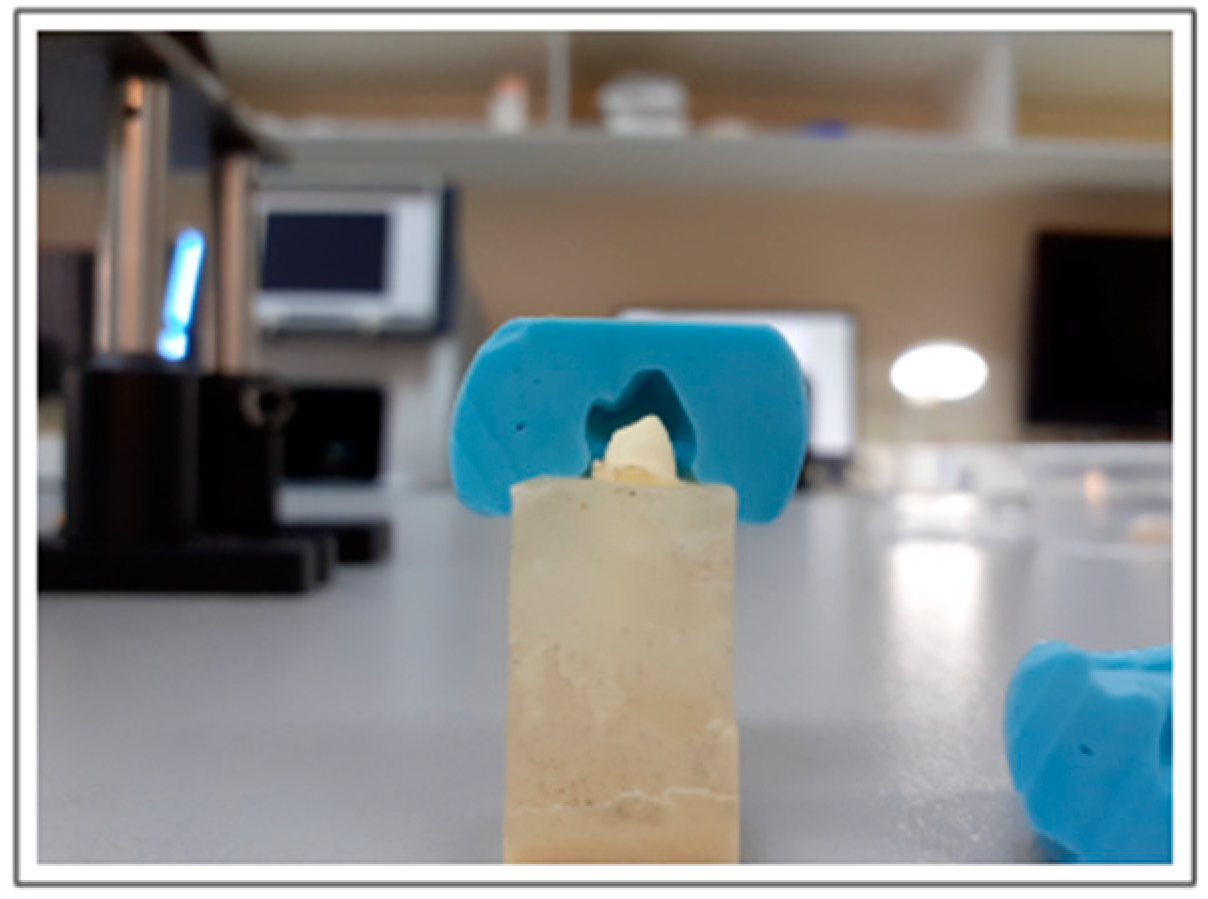 Applsci 15 10708 g002