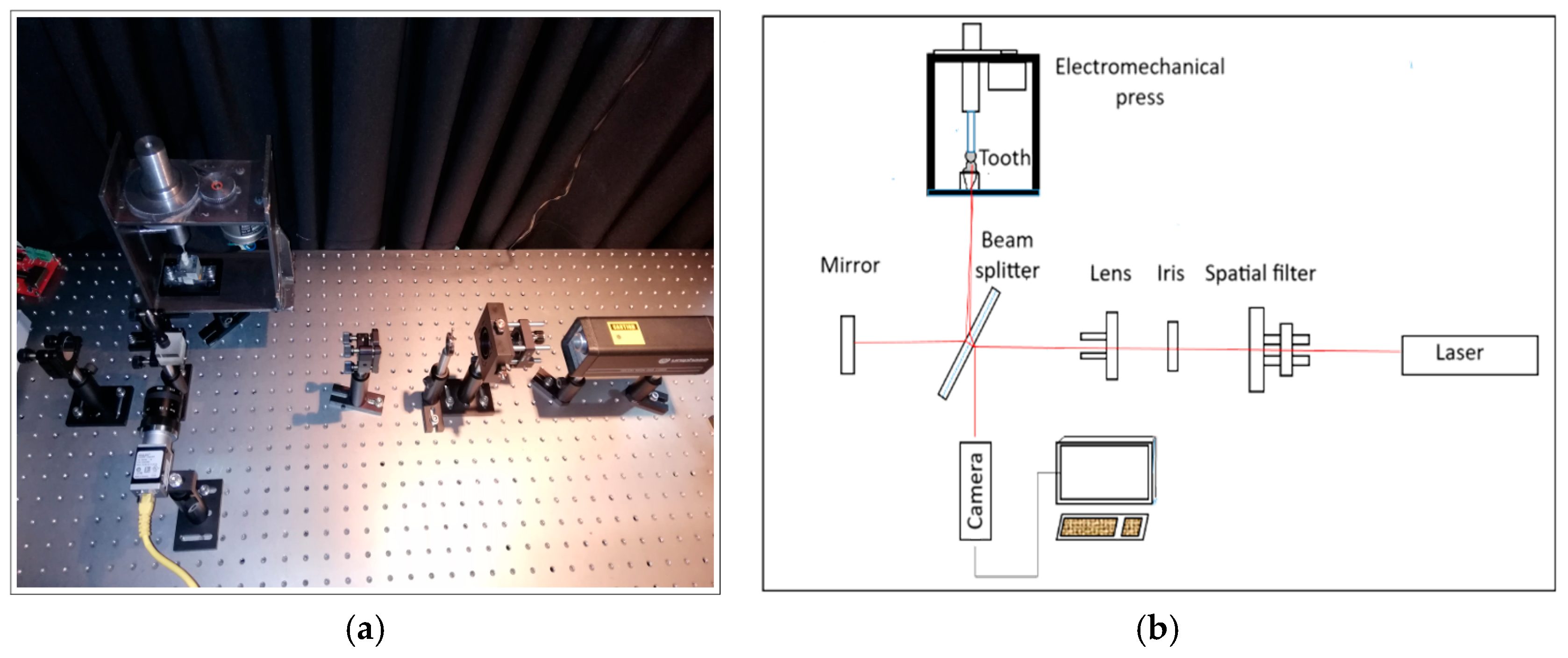 Applsci 15 10708 g007