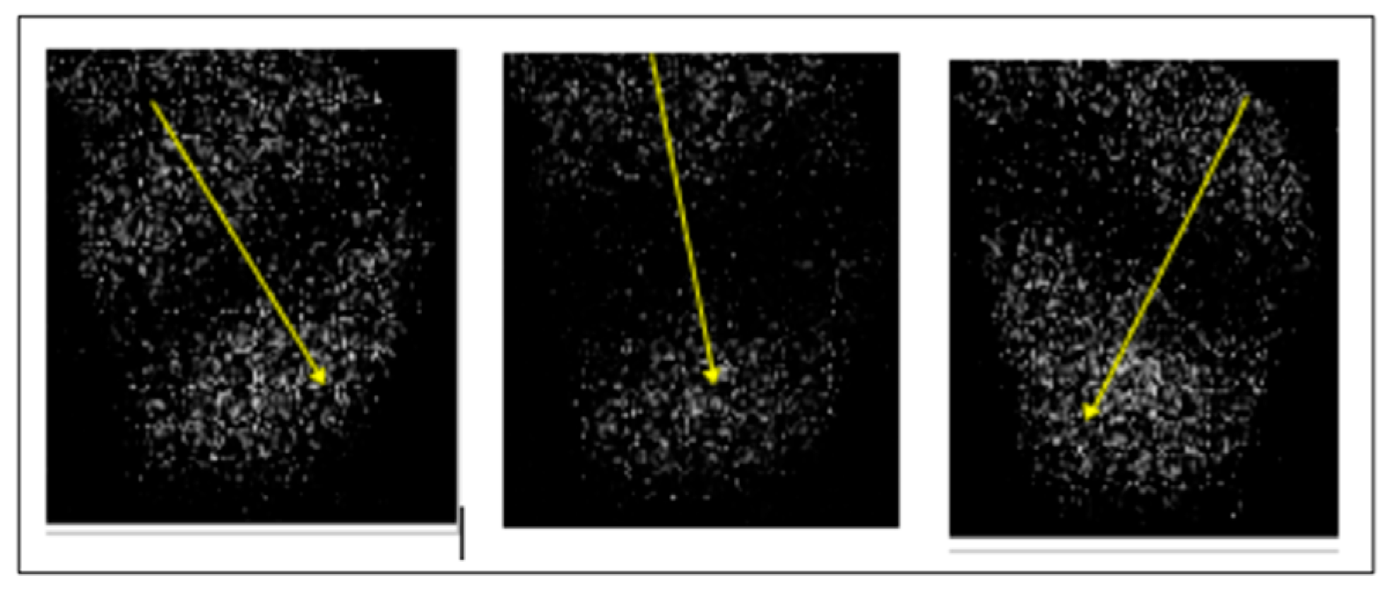 Applsci 15 10708 g010
