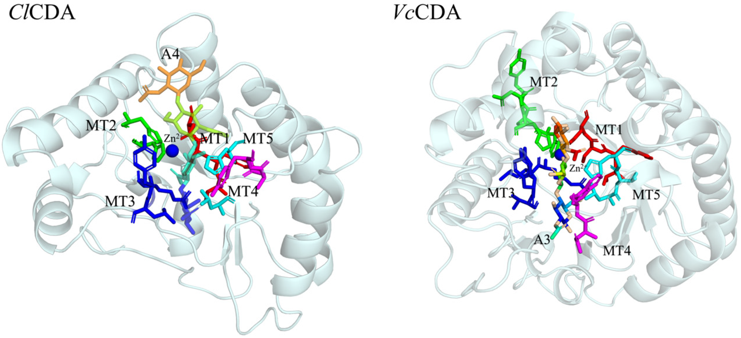 Applsci 15 10721 g001 Applsci 15 10721 g001