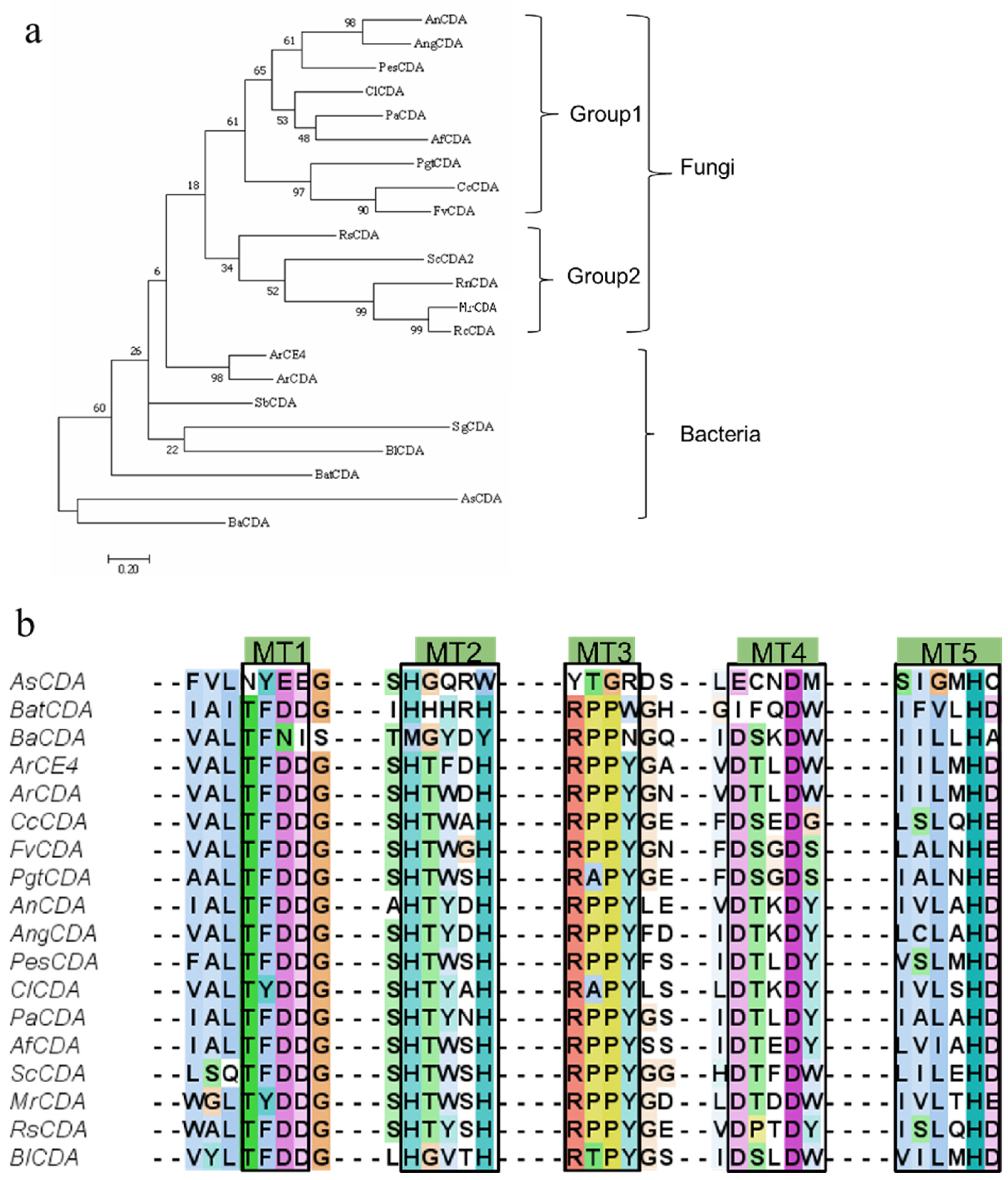 Applsci 15 10721 g002 Applsci 15 10721 g002