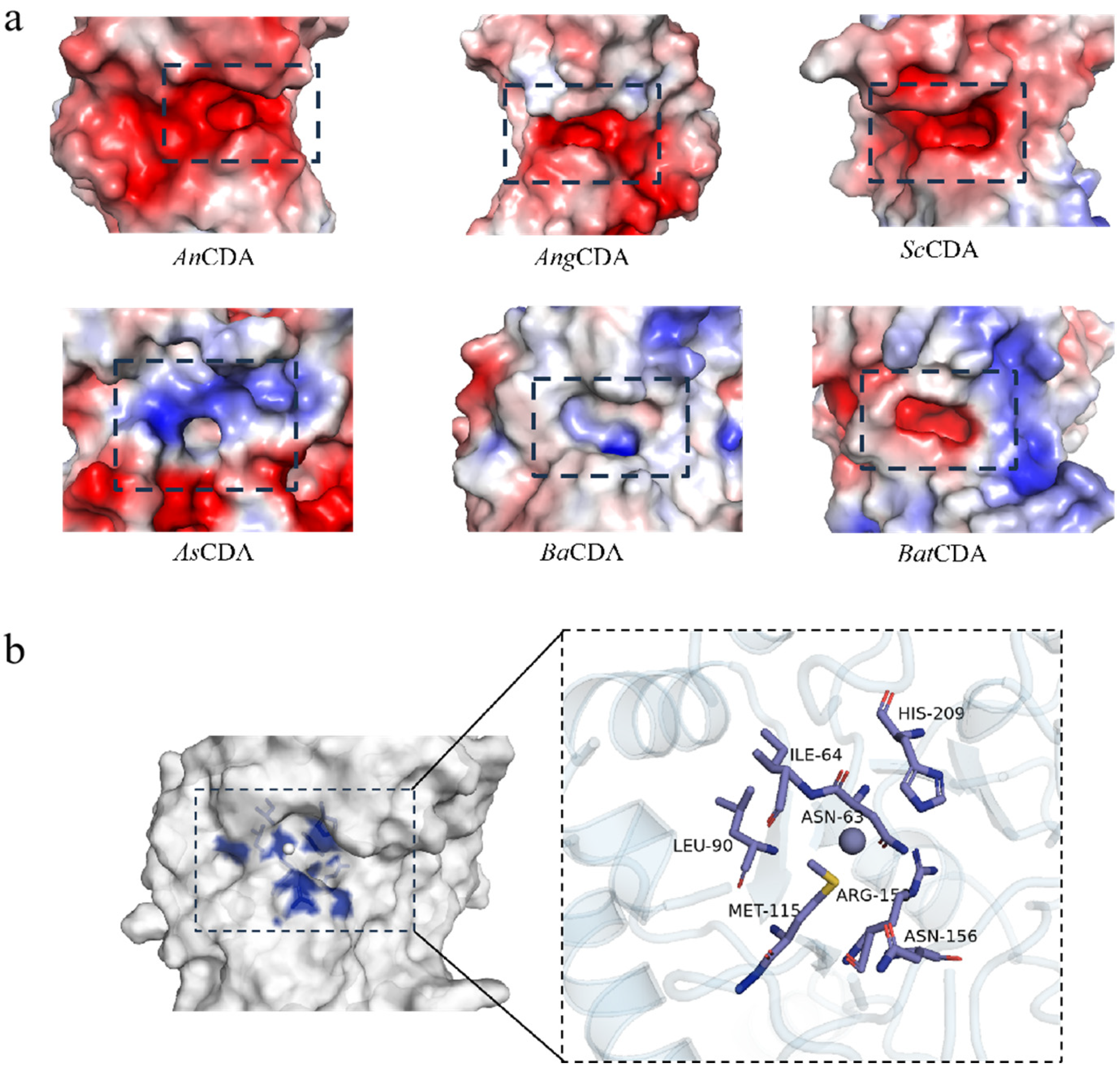 Applsci 15 10721 g003 Applsci 15 10721 g003