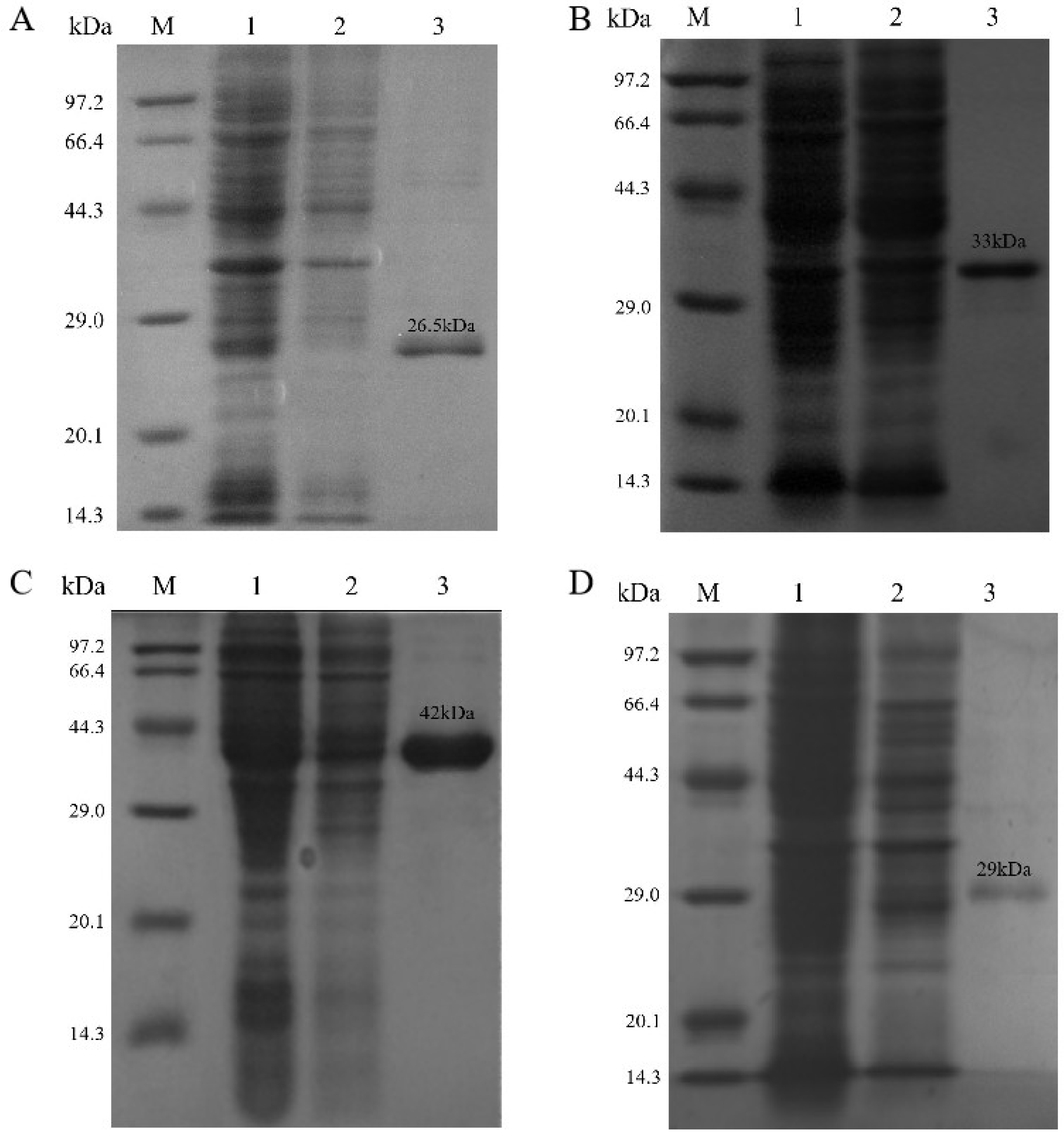 Applsci 15 10721 g004 Applsci 15 10721 g004