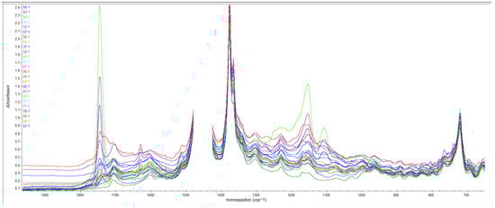 Applsci 15 11023 g0a3