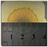 Applsci 15 11023 i007 Applsci 15 11023 i007