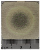 Applsci 15 11023 i008 Applsci 15 11023 i008