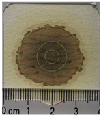 Applsci 15 11023 i014 Applsci 15 11023 i014