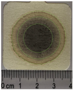 Applsci 15 11023 i018 Applsci 15 11023 i018