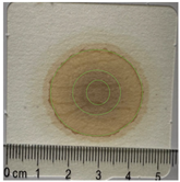 Applsci 15 11023 i021 Applsci 15 11023 i021