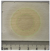 Applsci 15 11023 i027 Applsci 15 11023 i027