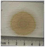 Applsci 15 11023 i028 Applsci 15 11023 i028