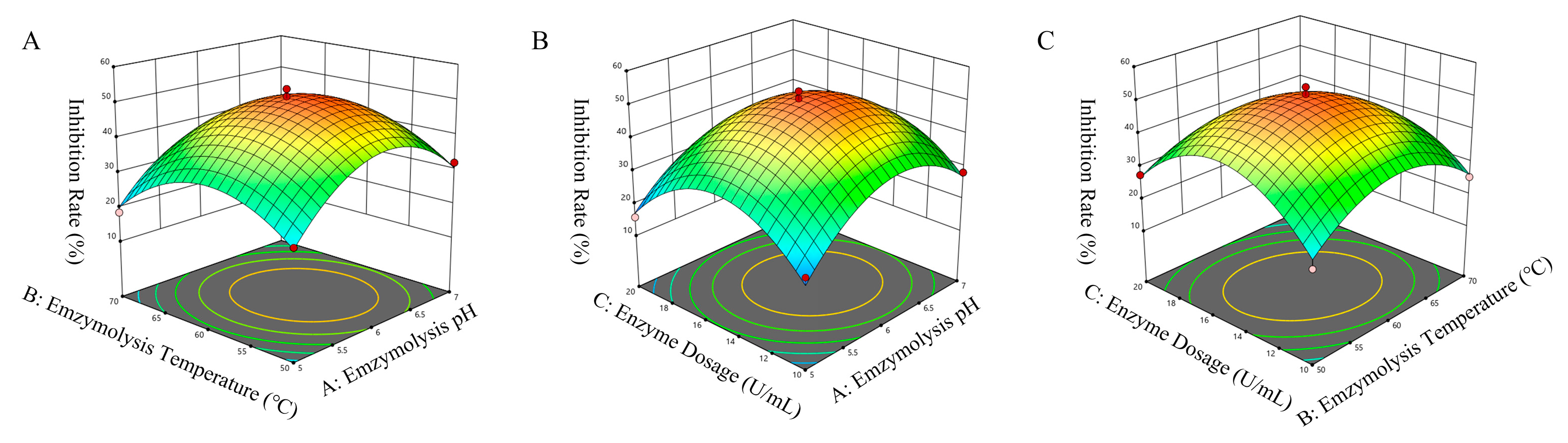 Applsci 15 11057 g002