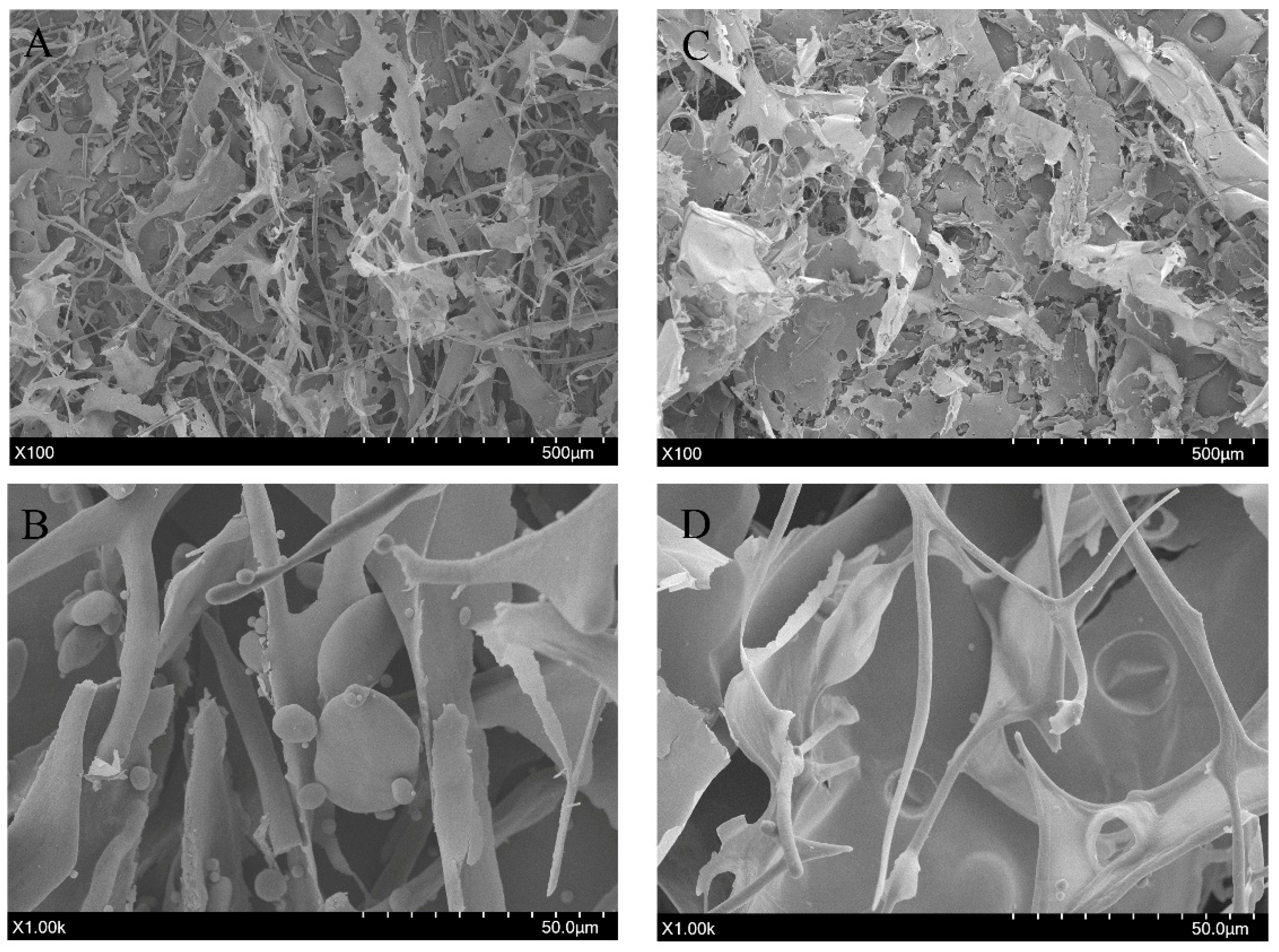 Applsci 15 11057 g010