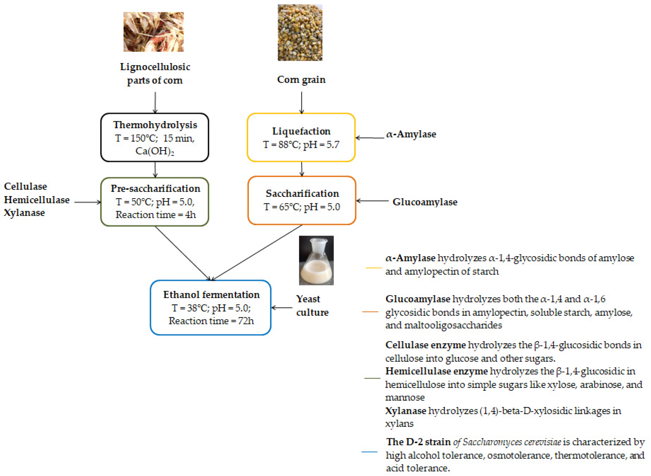 Applsci 15 11315 g001