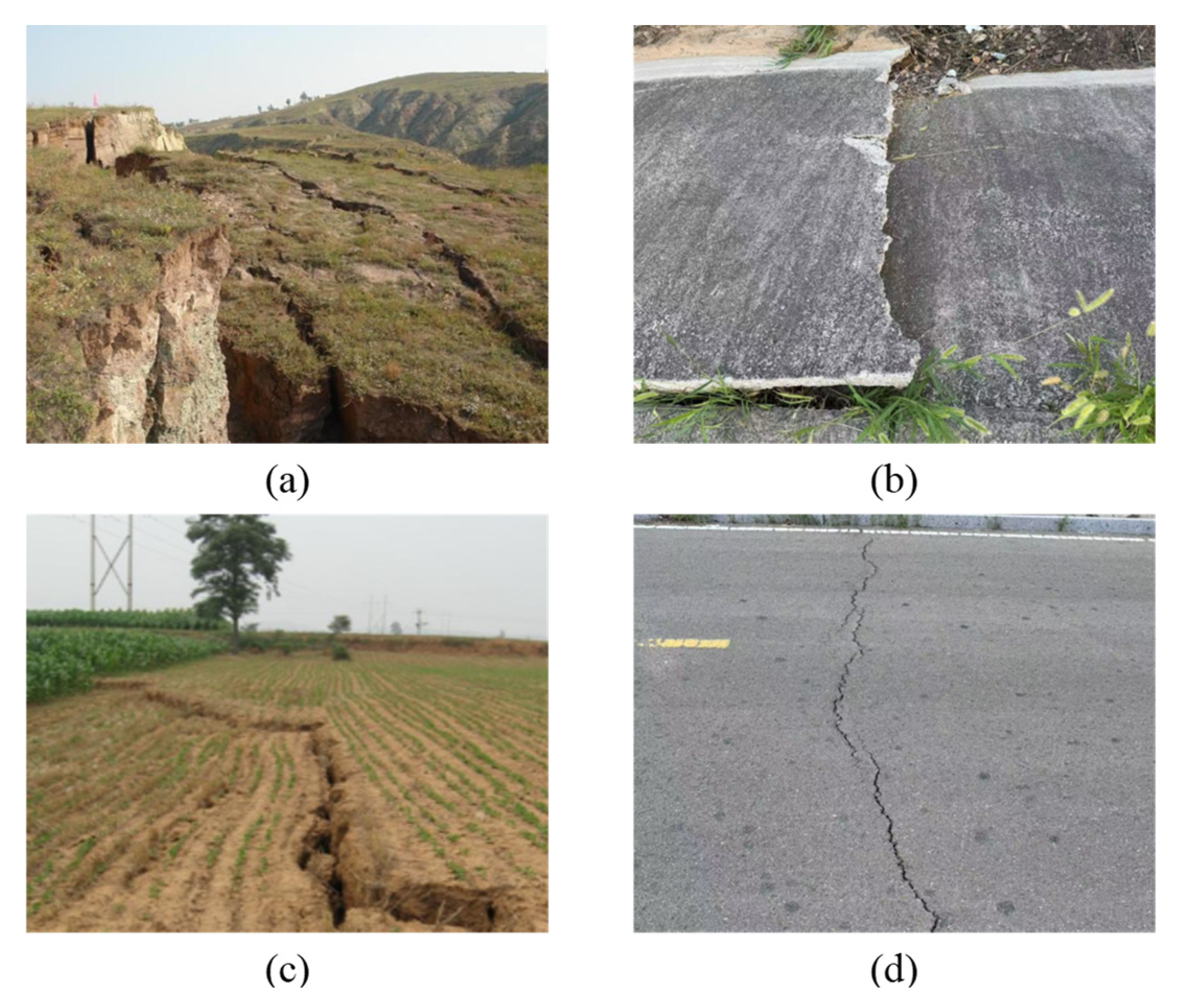 Applsci 15 11329 g001