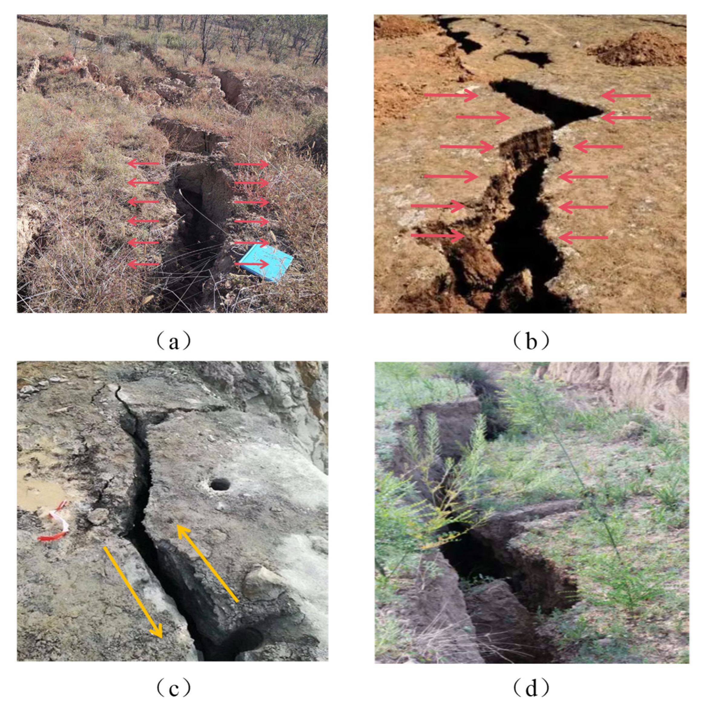 Applsci 15 11329 g002