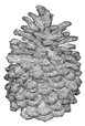 Applsci 15 11364 i006 Applsci 15 11364 i006