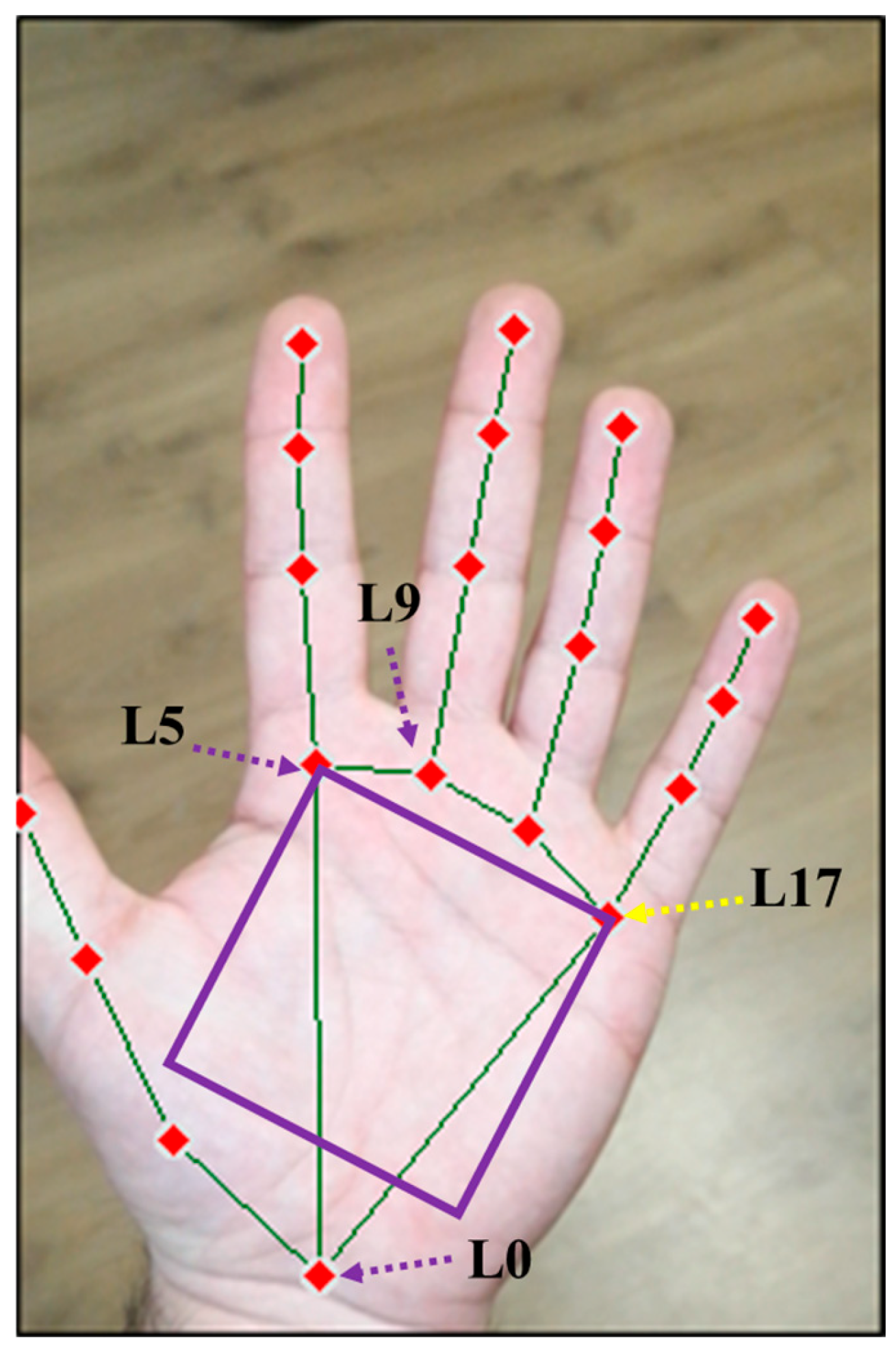 Applsci 15 11368 g005