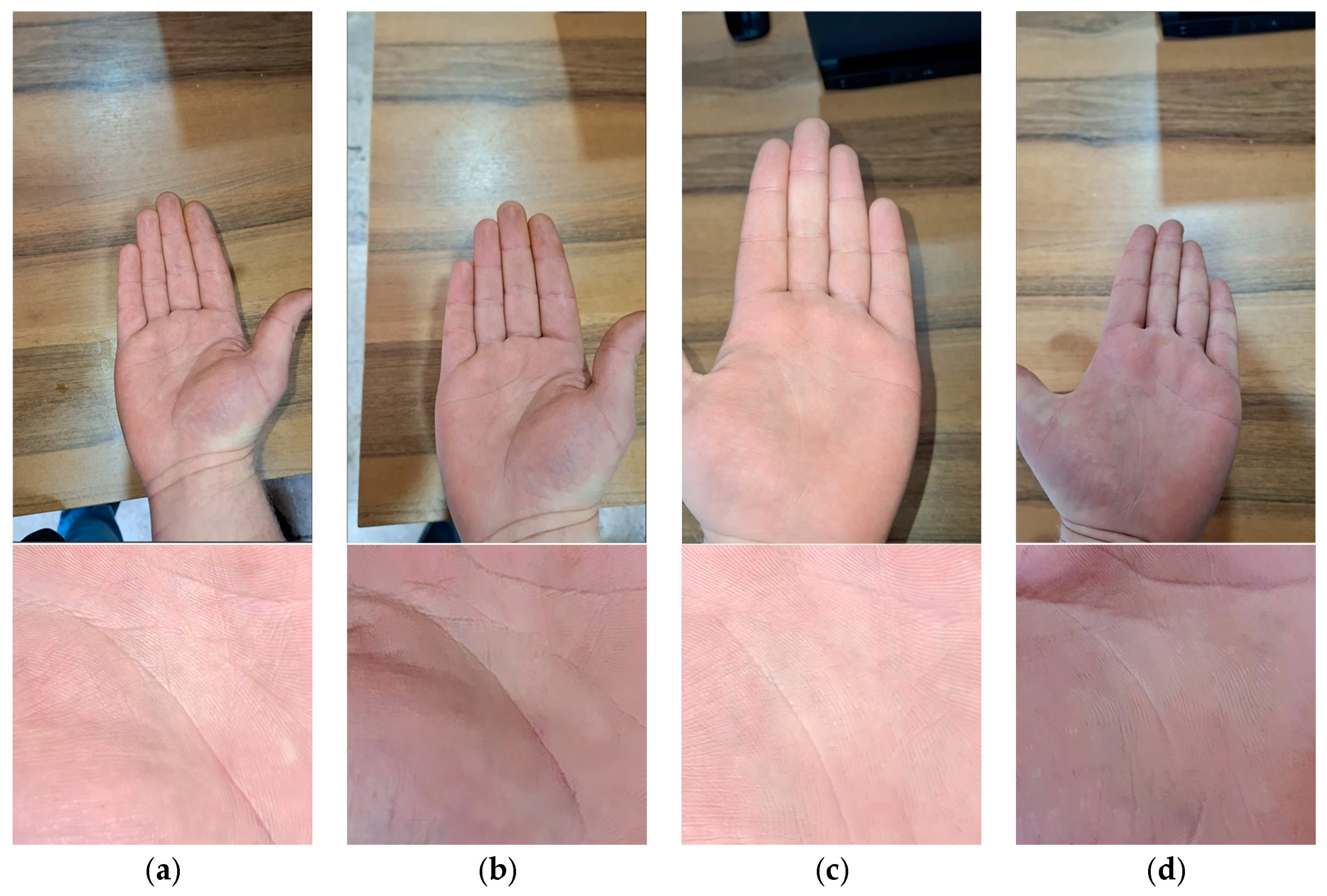 Applsci 15 11368 g006