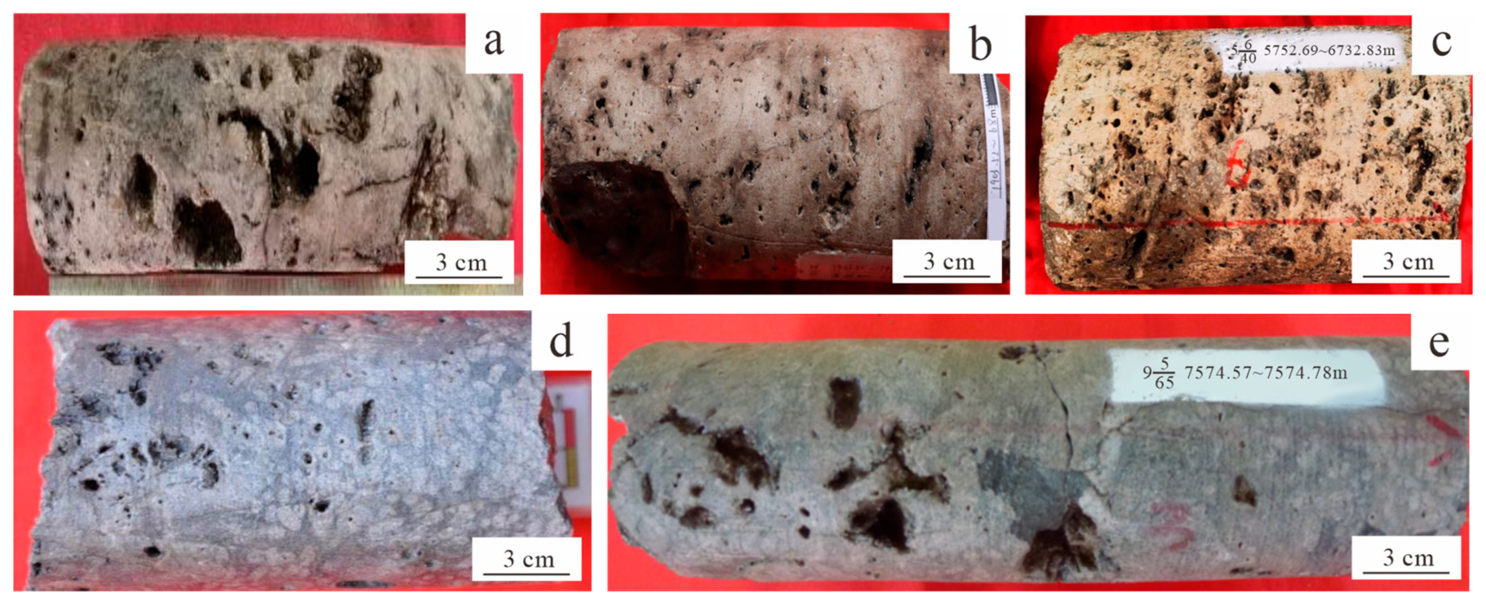 Applsci 15 11380 g007