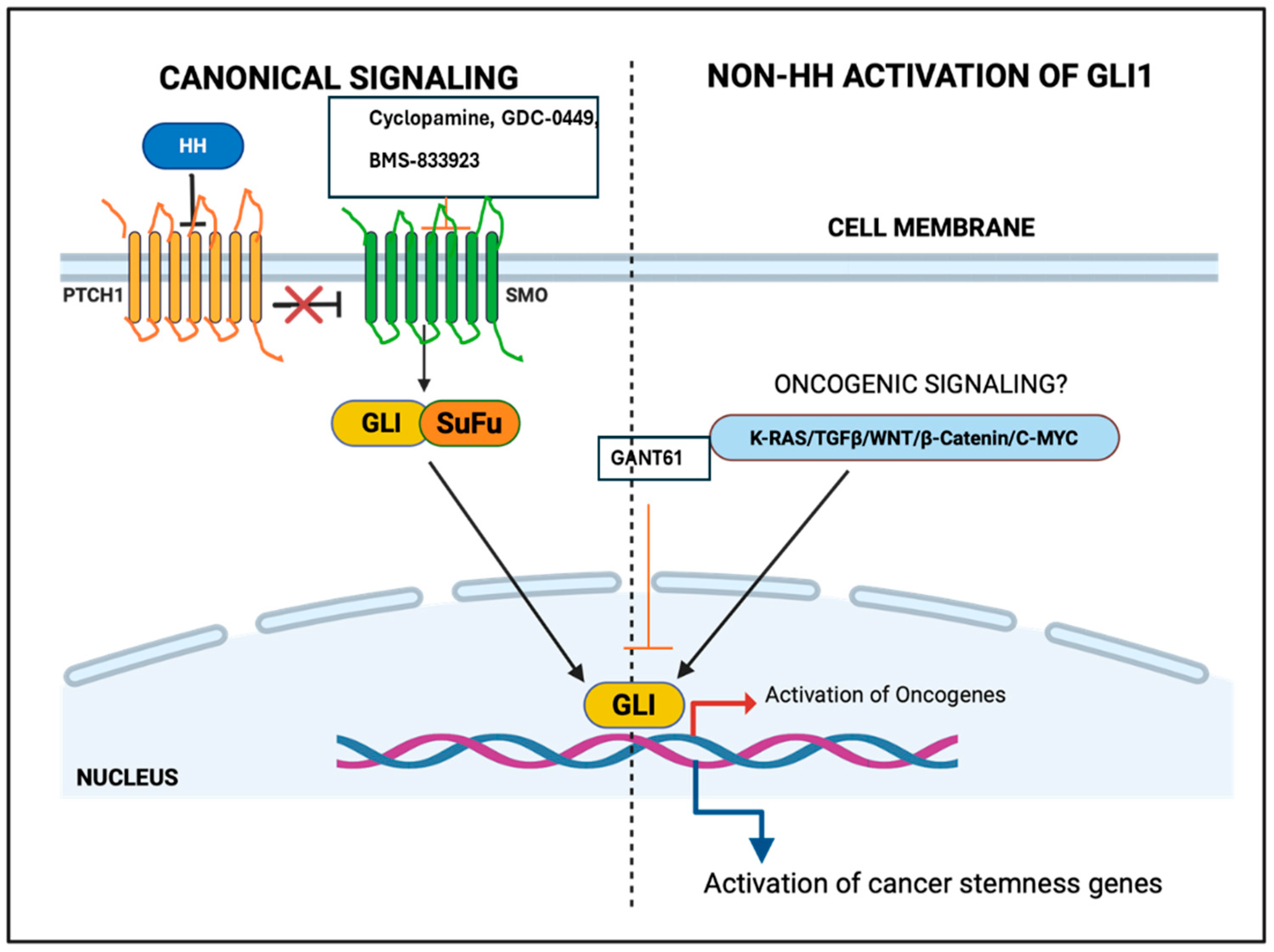 Applsci 15 11396 g001