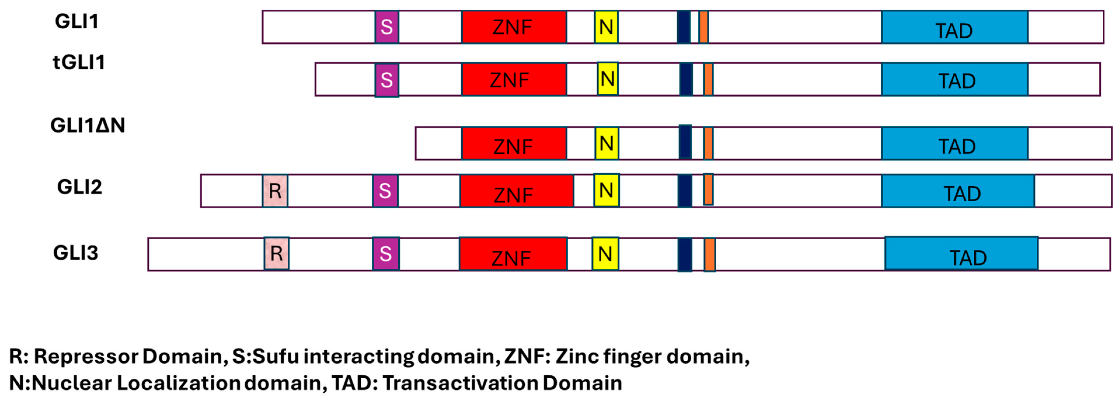 Applsci 15 11396 g002