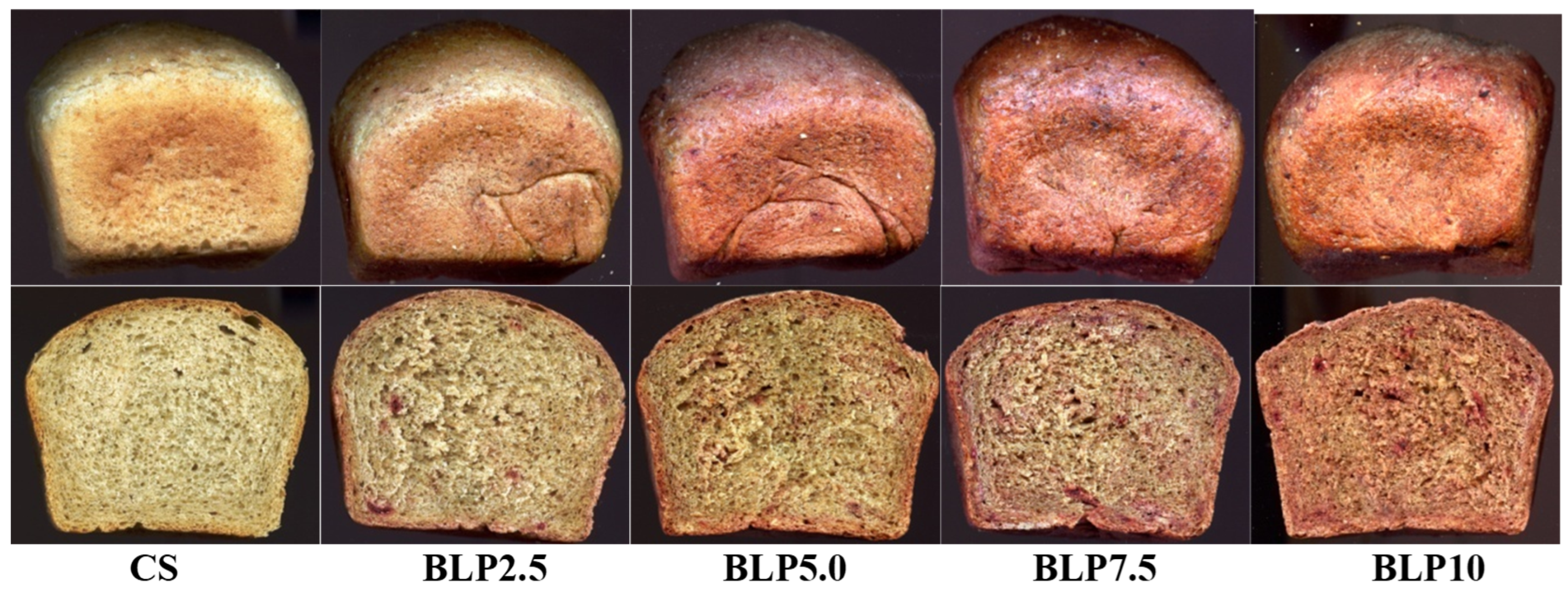 Applsci 15 11408 g001 Applsci 15 11408 g001